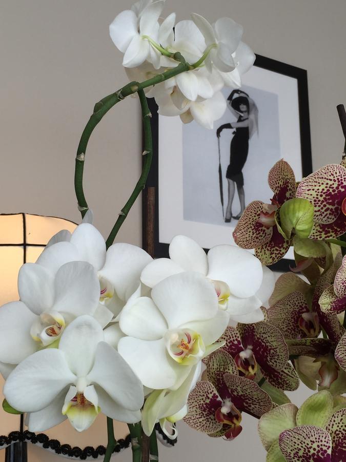 Cafe-Restaurant Leo Hotel คาลส์ดอร์ฟ ไบ กราซ ภายนอก รูปภาพ